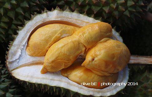 Durian Terengganu